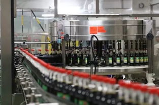 數字技術服務暗流洶涌 湖南知名企業47億“蛇吞象”收購背后的危機警示