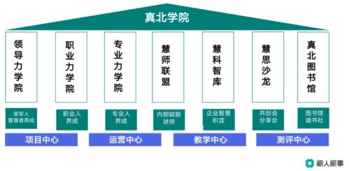 薪人薪事線上沙龍 以數(shù)字化創(chuàng)新技術(shù)為引擎，驅(qū)動學(xué)習(xí)型組織構(gòu)建